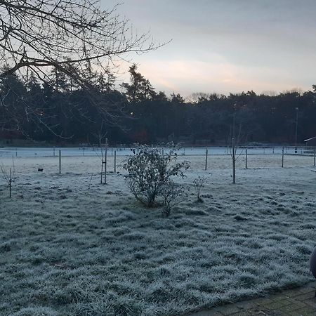 Natuurslaapkamer De Zaadeest Boskamer Lomm Εξωτερικό φωτογραφία