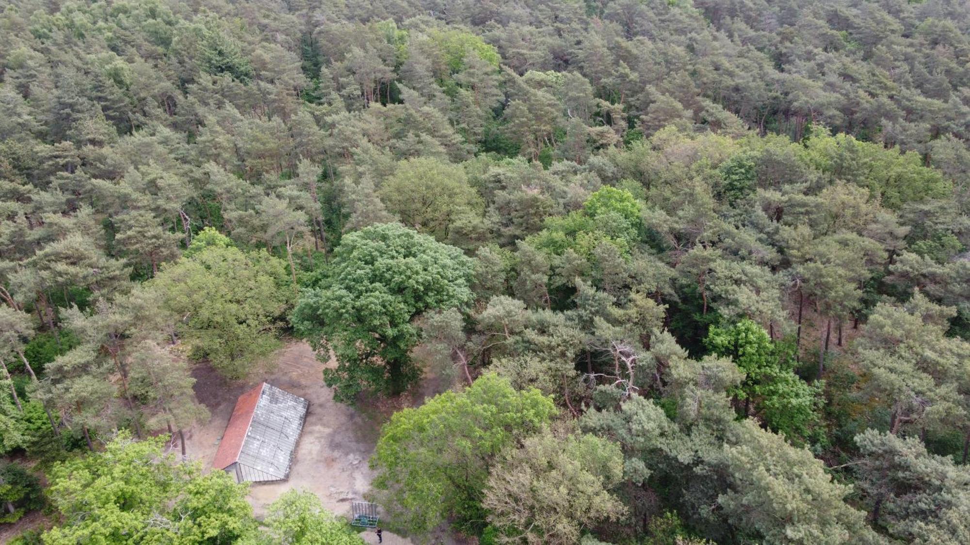 Natuurslaapkamer De Zaadeest Boskamer Lomm Εξωτερικό φωτογραφία